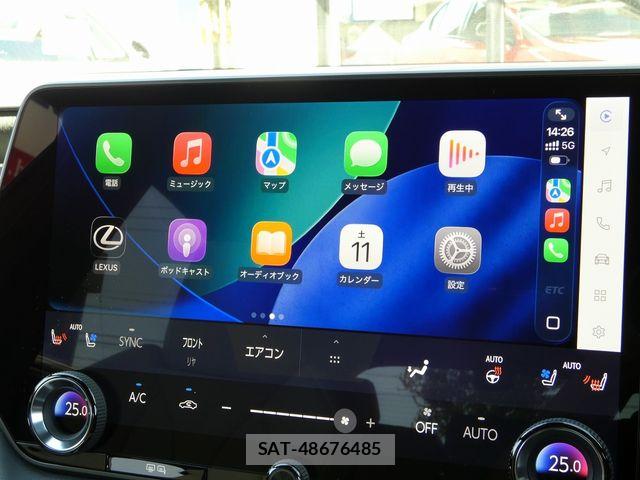 Lexus RX 2025-05 6245279-25