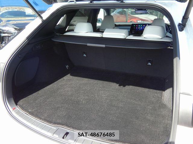 Lexus RX 2025-05 6245279-28