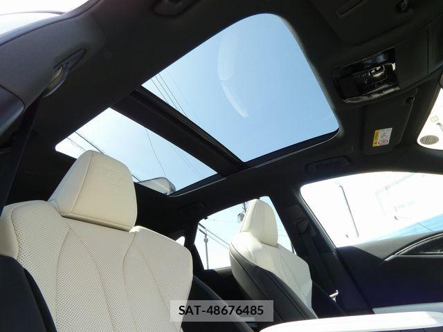 Lexus RX 2025-05 6245279-29