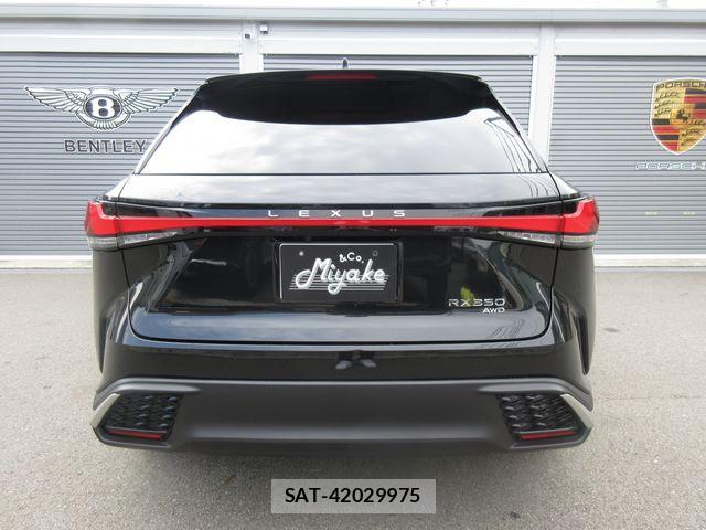 Lexus RX 2024-08 6672309-11