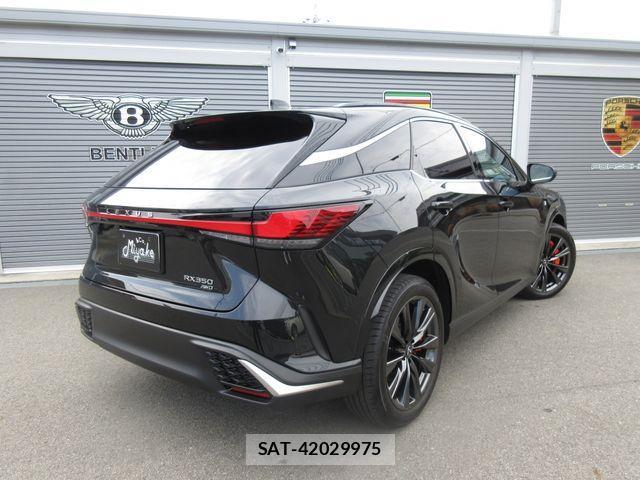 Lexus RX 2024-08 6672309-12