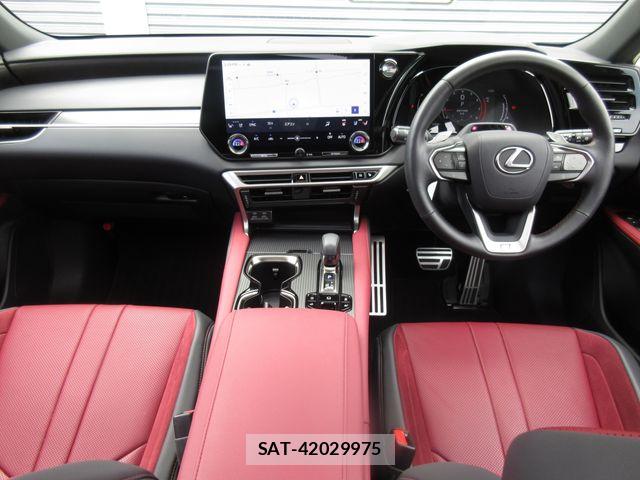 Lexus RX 2024-08 6672309-13