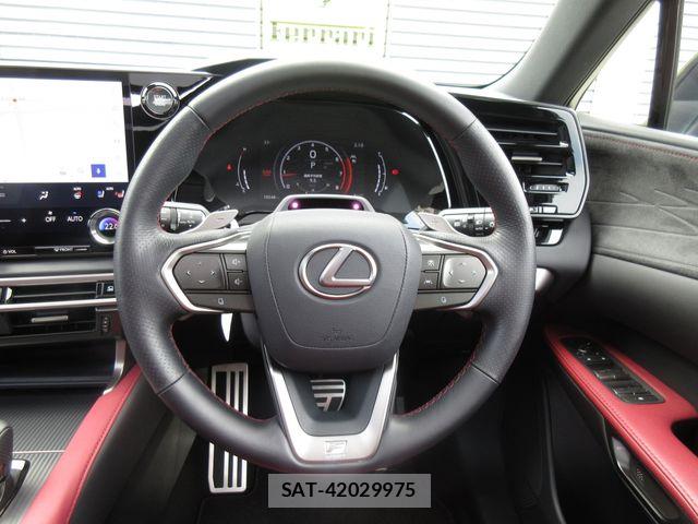 Lexus RX 2024-08 6672309-15