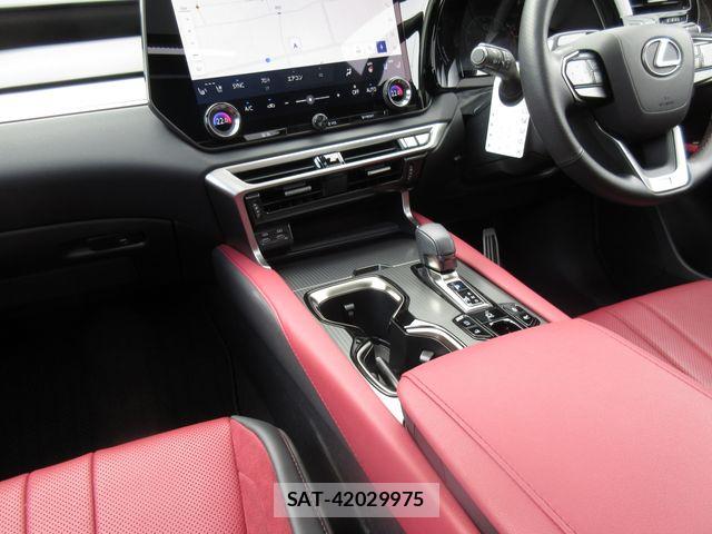 Lexus RX 2024-08 6672309-17