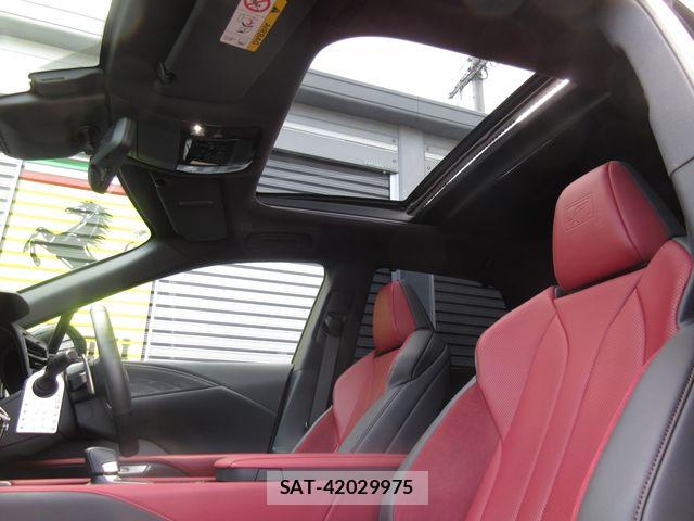 Lexus RX 2024-08 6672309-23