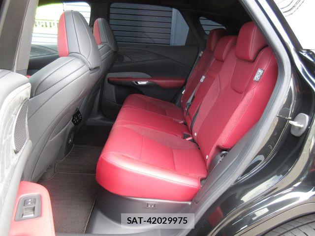 Lexus RX 2024-08 6672309-25