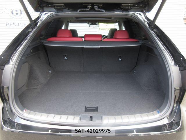 Lexus RX 2024-08 6672309-28