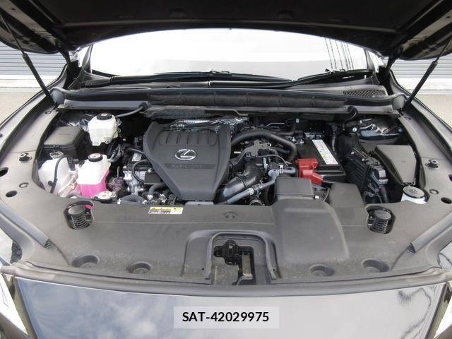 Lexus RX 2024-08 6672309-29