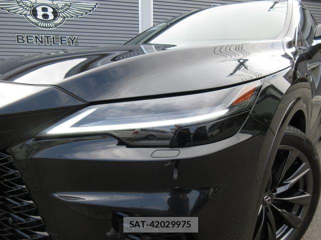 Lexus RX 2024-08 6672309-6