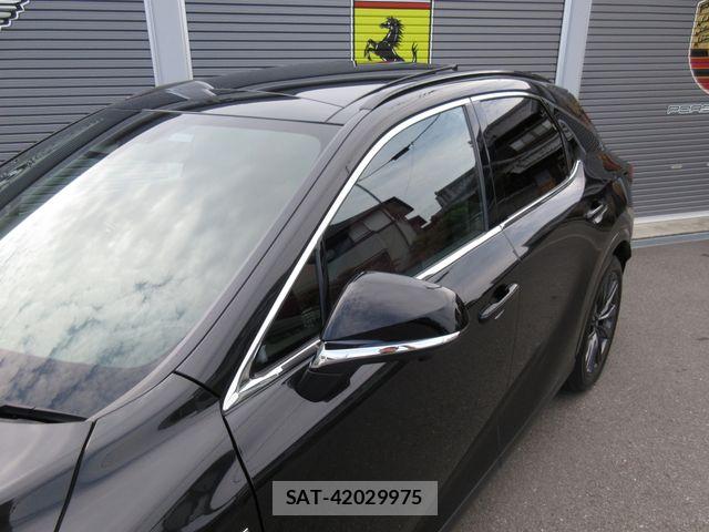 Lexus RX 2024-08 6672309-8