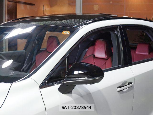 Lexus RX 2025-04 7221126-7