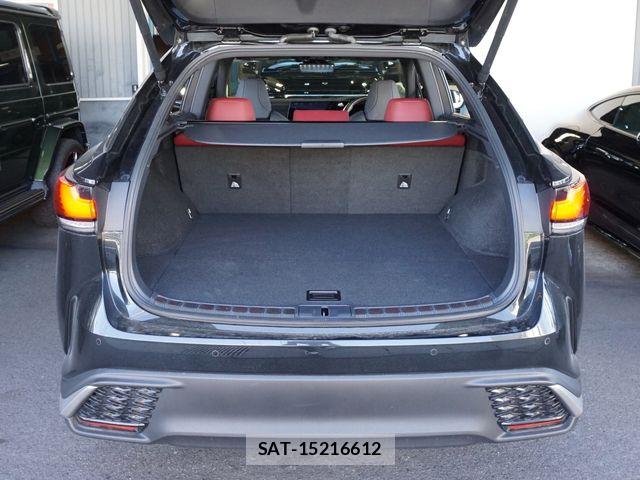 Lexus RX 2024-10 7221131-29