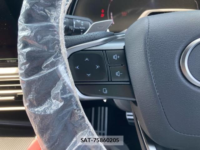 Lexus RX 2024-08 7217279-14
