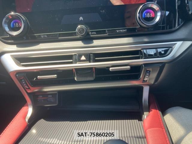 Lexus RX 2024-08 7217279-21