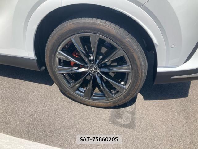 Lexus RX 2024-08 7217279-6