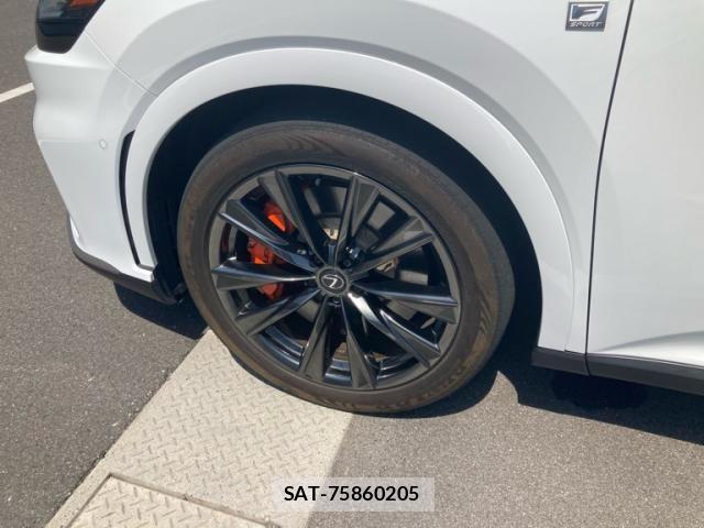 Lexus RX 2024-08 7217279-7