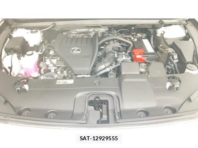 Lexus RX 2023-07 7358558-22