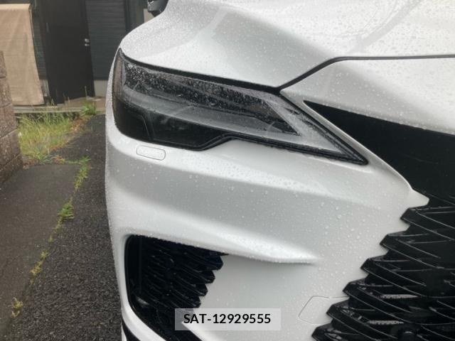 Lexus RX 2023-07 7358558-4