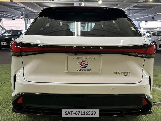 Lexus RX 2023-12 7786650-18