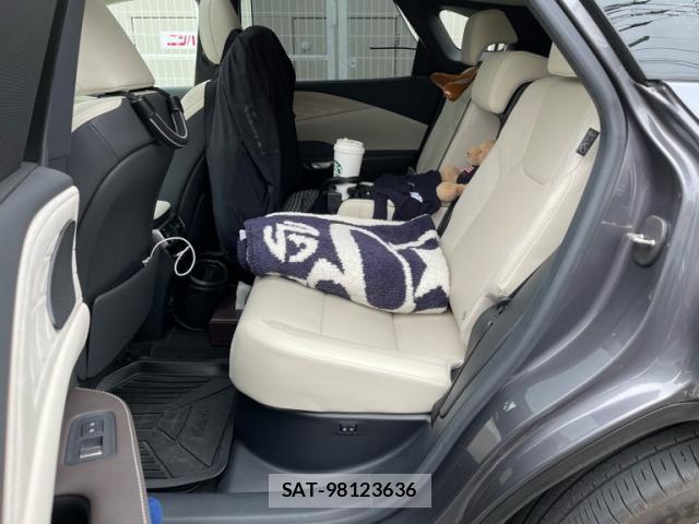 Lexus RX 2023-08 7877449-10