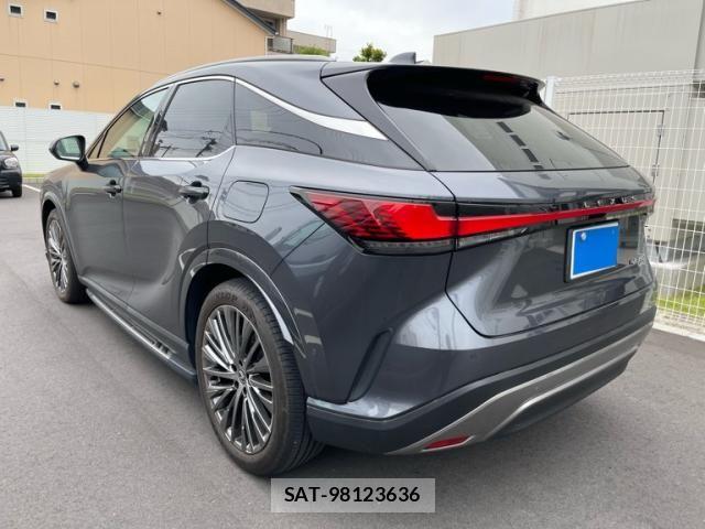 Lexus RX 2023-08 7877449-3