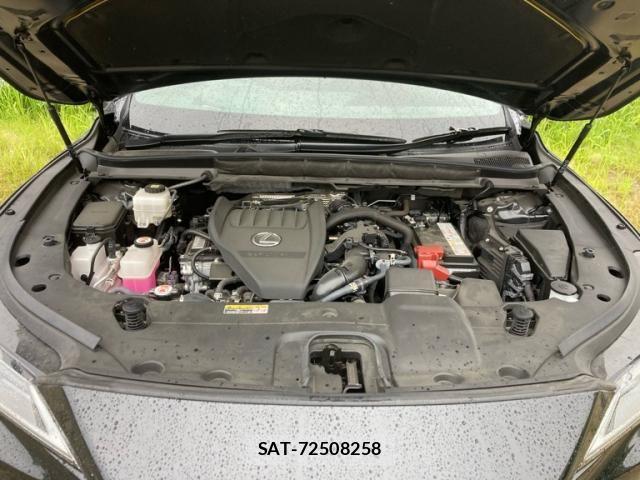 Lexus RX 2024-07 7877448-9