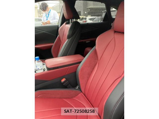 Lexus RX 2024-07 7877448-10