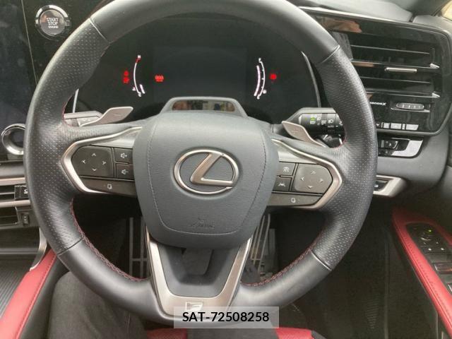 Lexus RX 2024-07 7877448-17