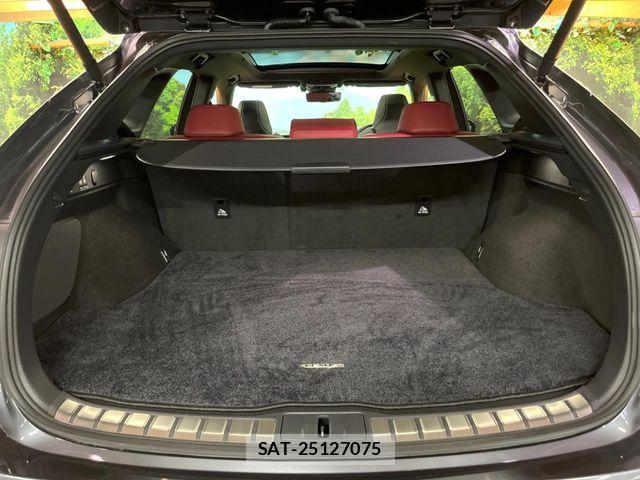 Lexus RX 2025-08 7962453-12