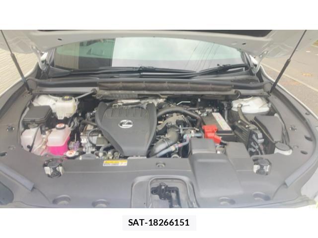 Lexus RX 2024-09 7962457-26