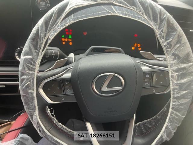Lexus RX 2024-09 7962457-7