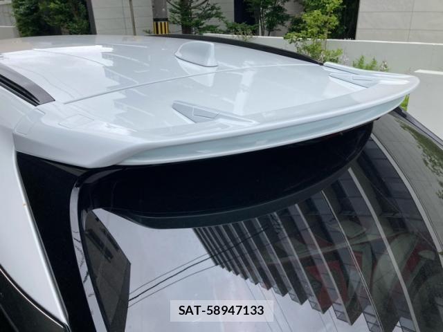 Lexus RX 2023-08 8100195-12
