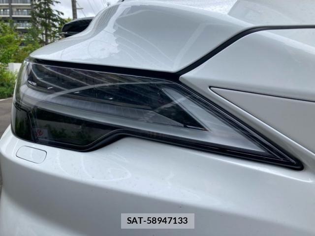 Lexus RX 2023-08 8100195-4