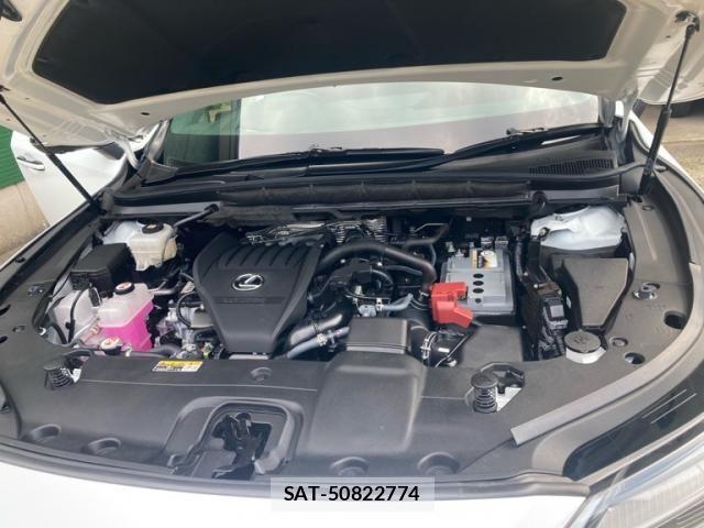 Lexus RX 2023-08 8100194-13