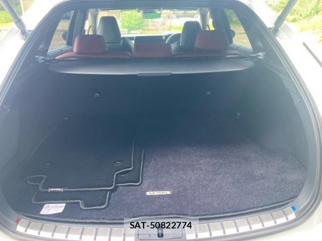 Lexus RX 2023-08 8100194-16