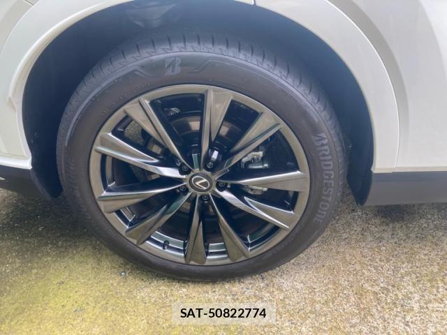 Lexus RX 2023-08 8100194-6
