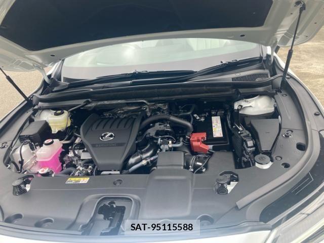Lexus RX 2025-07 8131052-27