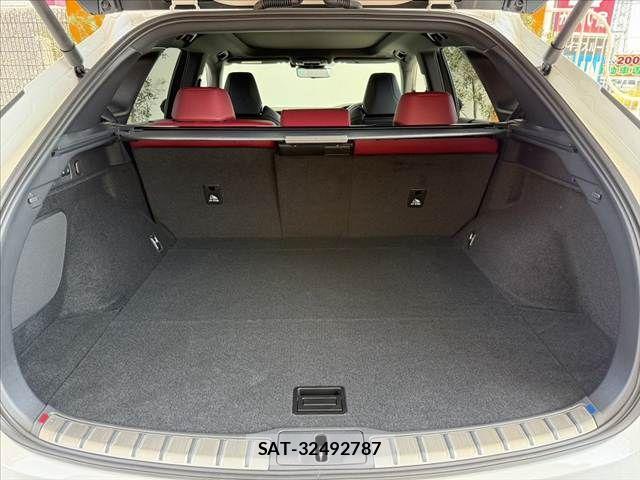 Lexus RX 2025-11 8208455-19