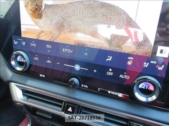 Lexus RX 2023-01 8245760-15