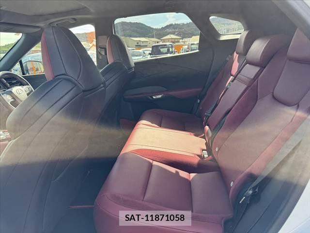 Lexus RX 2024-10 8457036-18