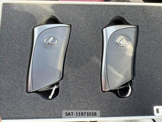 Lexus RX 2024-10 8457036-6