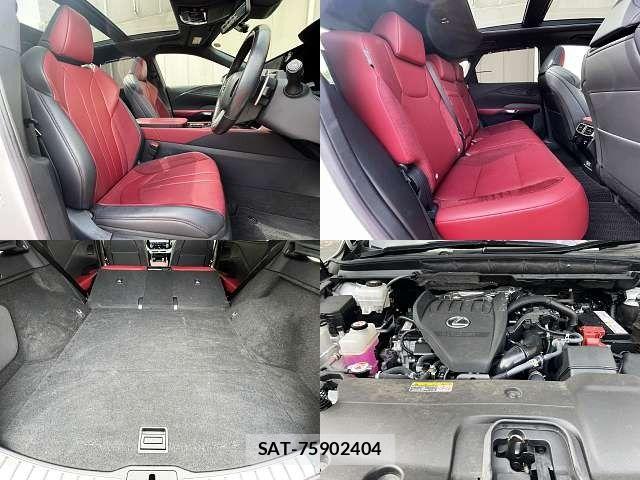 Lexus RX 2023-10 8525586-6