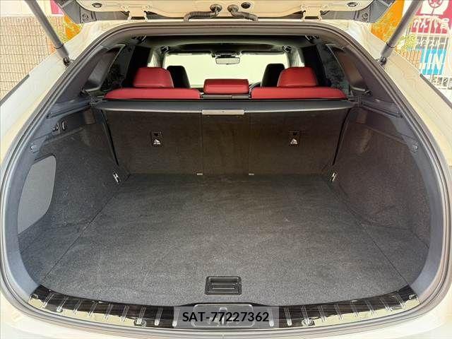 Lexus RX 2024-04 8562483-19