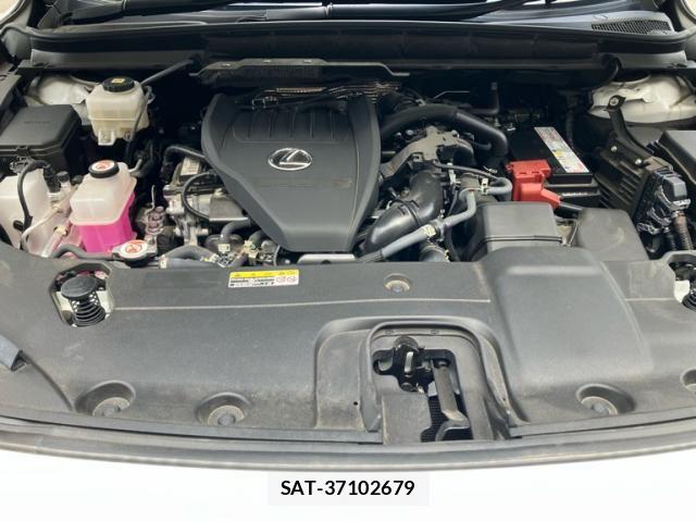 Lexus RX 2023-10 8562484-14