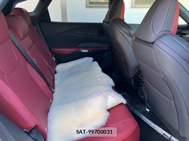 Lexus RX 2025-05 8562481-12