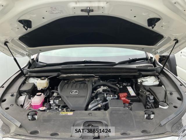 Lexus RX 2023-03 8743505-14