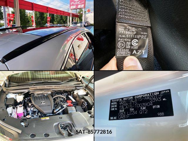 Lexus RX 2023-11 8796509-15