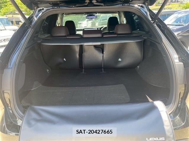 Lexus RX 2024-03 1092480-14
