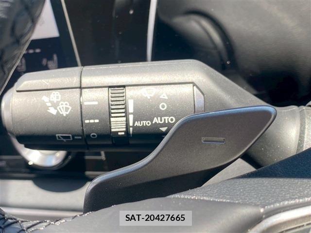 Lexus RX 2024-03 1092480-26