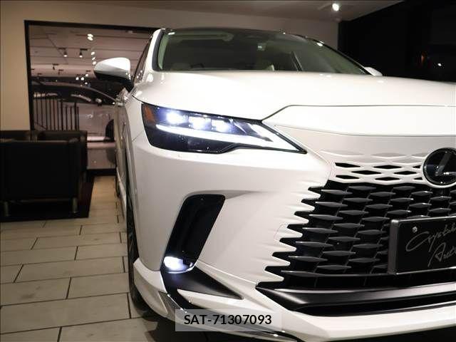 Lexus RX 2024-06 2248995-16